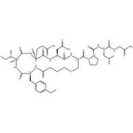 API Carbetocin برای استفاده در حیوانات